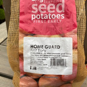 Seed Potatoes & Onion Set