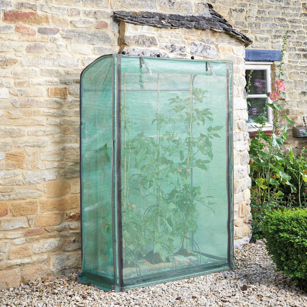 GroZone Tomato Growhouse Barn Farm Plants