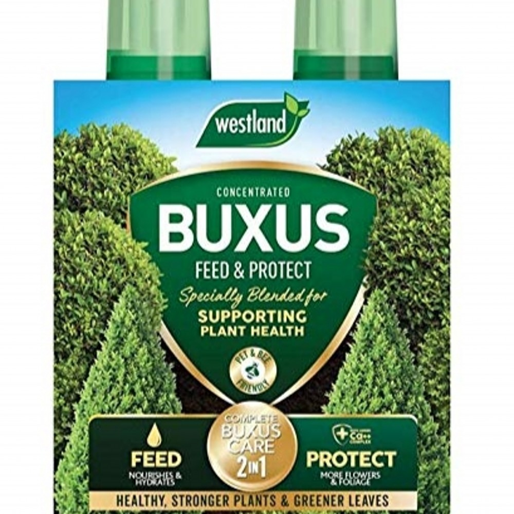 Westland Buxus 2in1 Feed & Protect Concentrate Barn Farm Plants