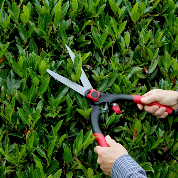Darlac Classic Shears DP300 Barn Farm Plants