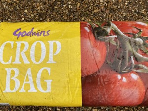 Godwin Crop Grow Bag