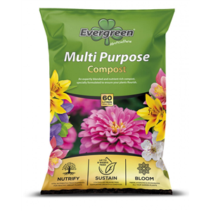 Evergreen M/P Compost 60ltr