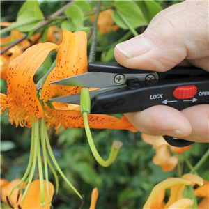 Darlac Deadheading Snips DP125