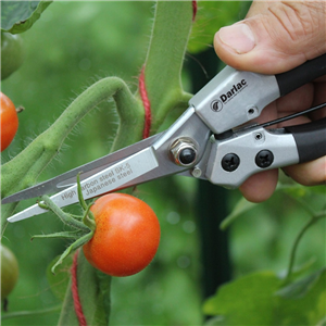 Darlac Compact Snips DP42