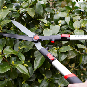 Darlac Telescopic Hedge Shea DP810