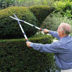 Darlac Telescopic Hedge Shea DP810