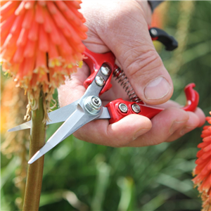 Darlac Ergo Snips DP842