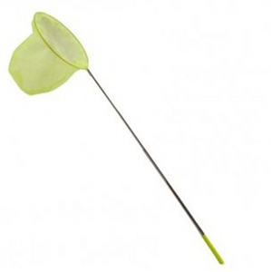 Children's Gardening