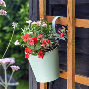 Fence & Balcony Pot