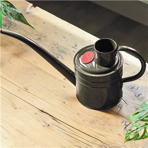 Home & Balcony Watering Can 1ltr Slate