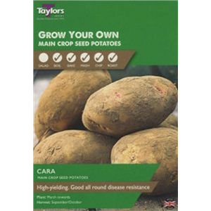 Seed Potatoes & Onion Set