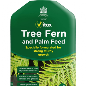 Tree Fern and Palm Feed 500m