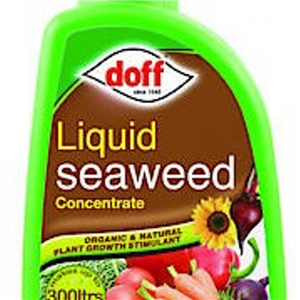 Doff Liquid Seaweed 1ltr