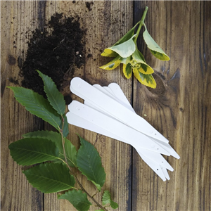 Good Life Plant 100mm Labels