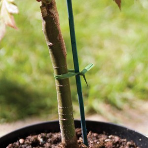 Good Life Twist Strips 150mm