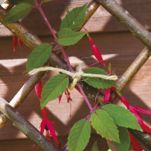 Good Life Twine Natural