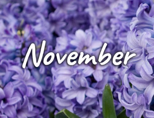 November