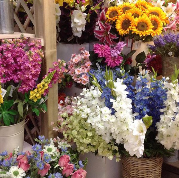 Barn Farm Plants Garden Centre Garden Centre near Banbury