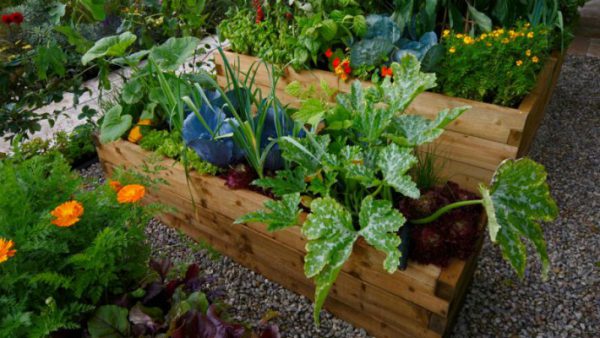 10 ways to get ready for organic gardening - Barn Farm Plants Garden Centre